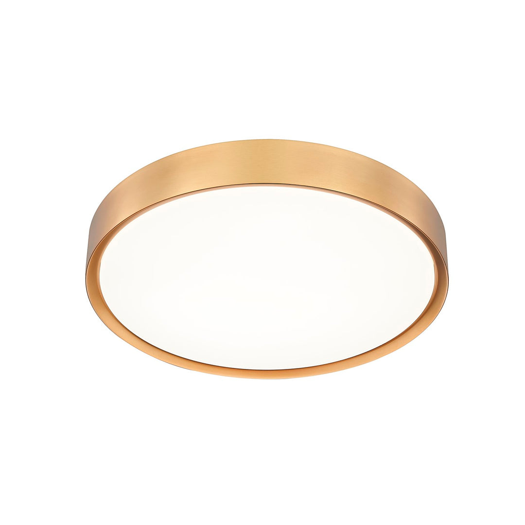 1 Light Flush Mount