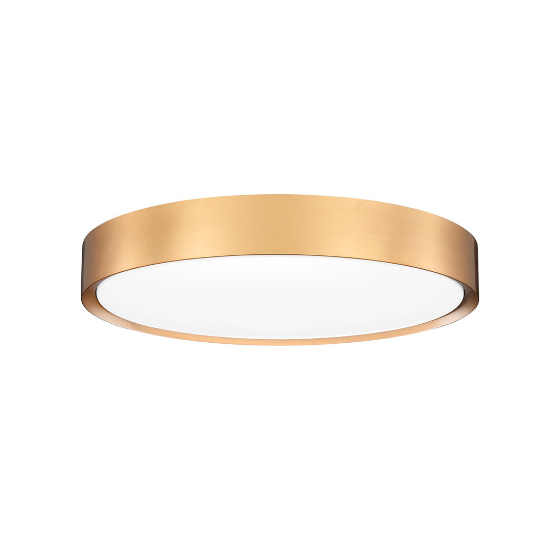 1 Light Flush Mount