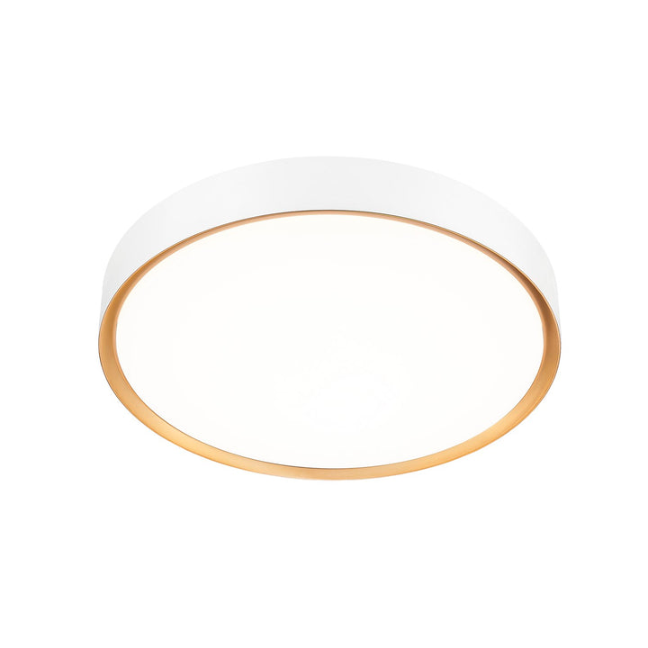 1 Light Flush Mount