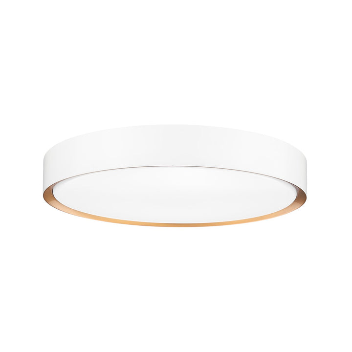 1 Light Flush Mount