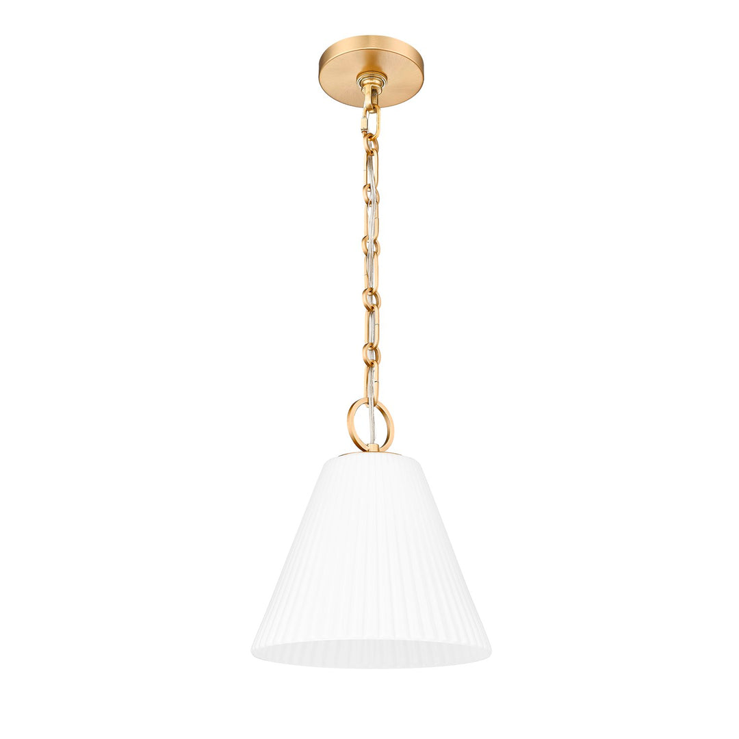 1 Light Pendant