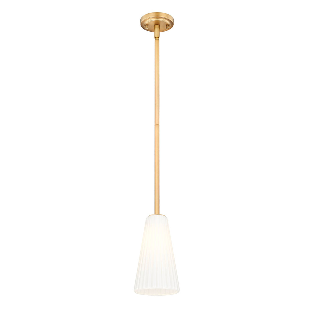 1 Light Pendant
