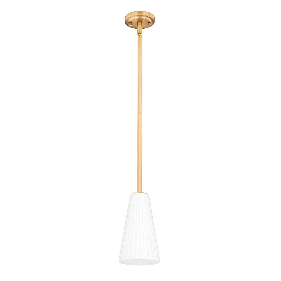 1 Light Pendant