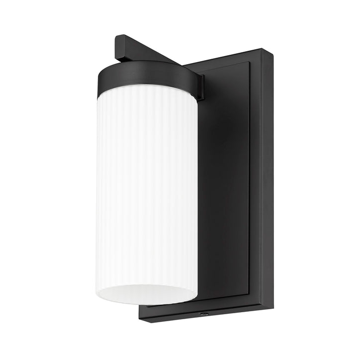 1 Light Wall Sconce