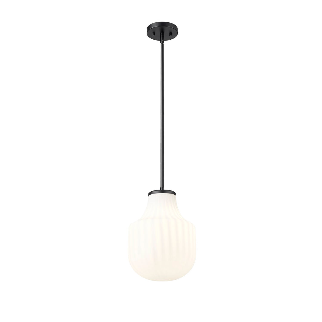 1 Light Pendant