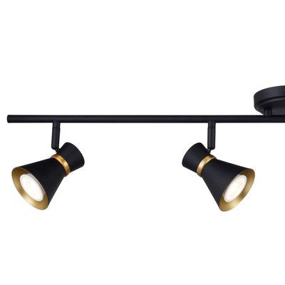 4 Light LED Directional Light Matte Black and Satin Brass