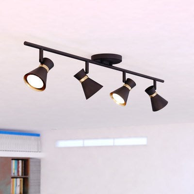 4 Light LED Directional Light Matte Black and Satin Brass