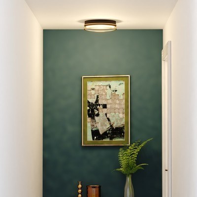 LED 16-in. Flush Mount Matte Black and Satin Gold