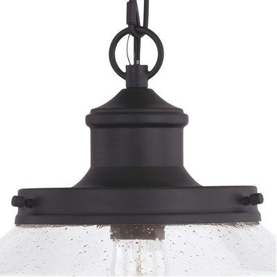10 in. W Outdoor Pendant Matte Black