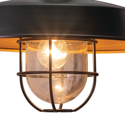 15 in. Outdoor Wall Light w Caged Clear Glass Dark Bronze/Light Gold