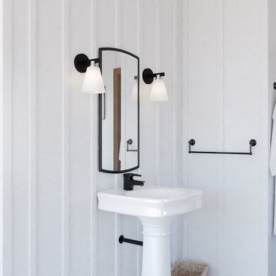 1 Light Vanity Matte Black and Satin Nickel