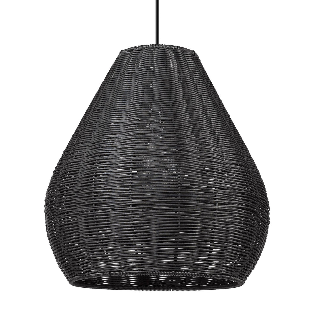 1 Light Pendant - Outdoor In Natural Black With Matte Black Wicker Shade by Golden