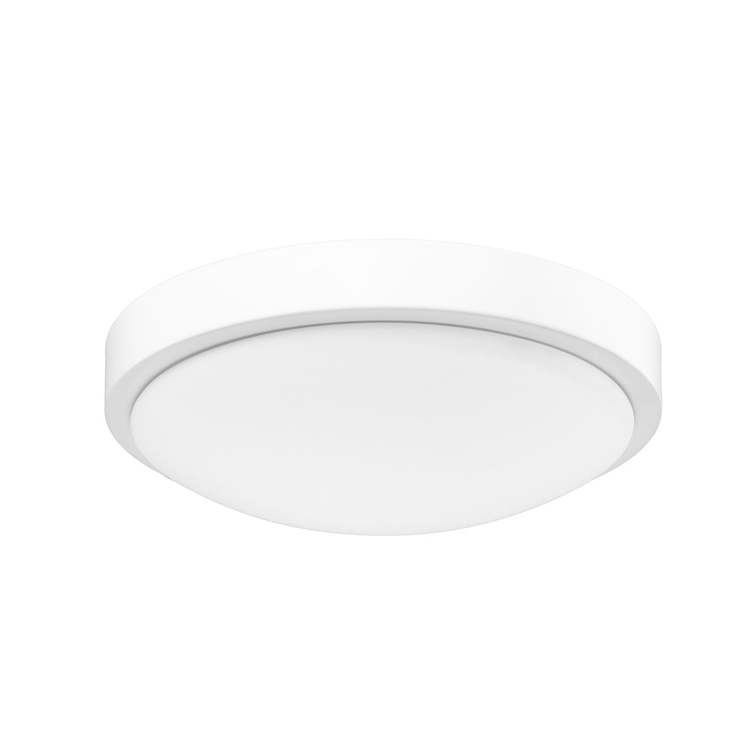 Gabi Wht Flush Mount In Matte White With Opal Shade by Golden
