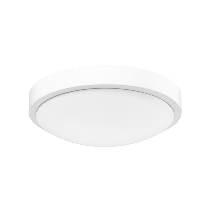 Gabi Wht Flush Mount In Matte White With Opal Shade by Golden