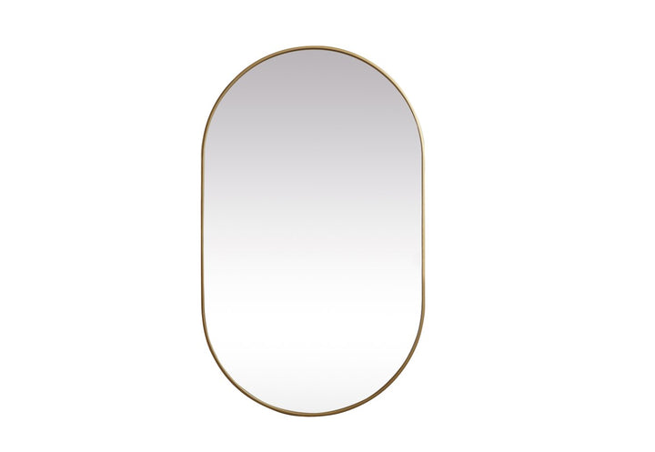 Metal Frame Oval Mirror 36X60 Inch In Brass by Elegant Decor