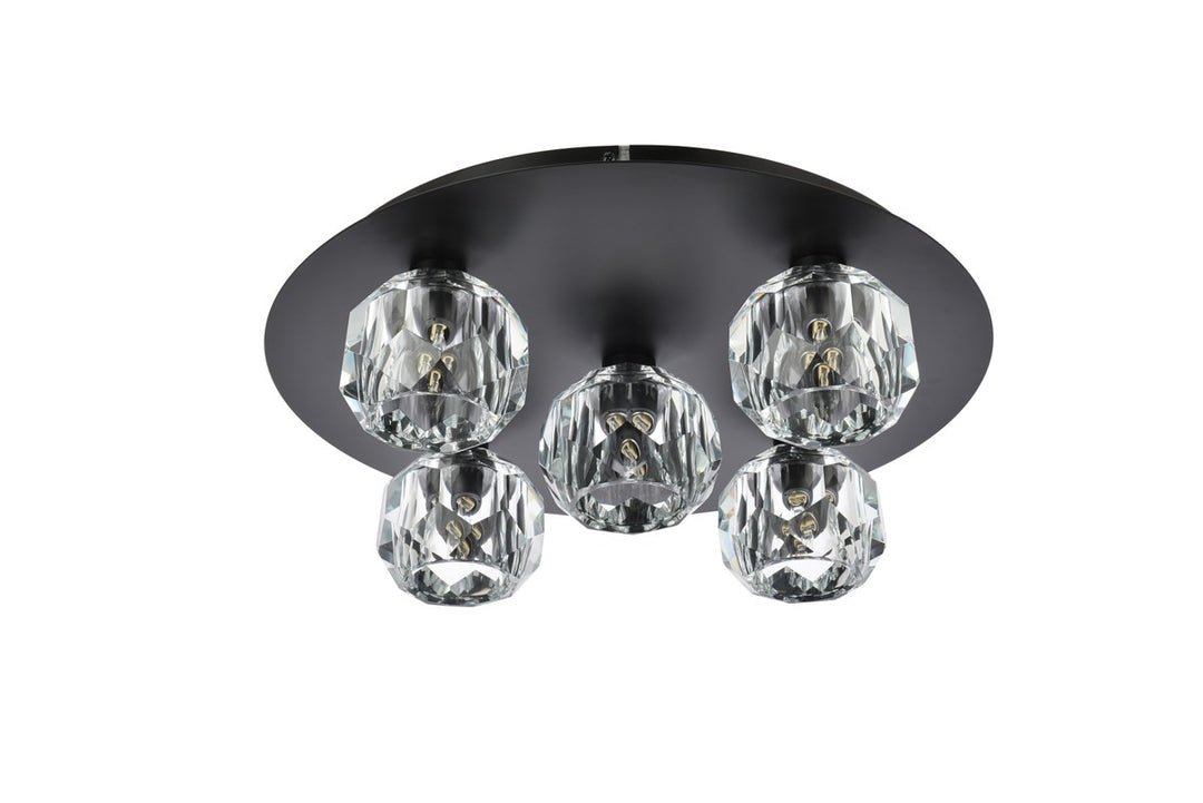 5 Light Ceiling Lamp In Black