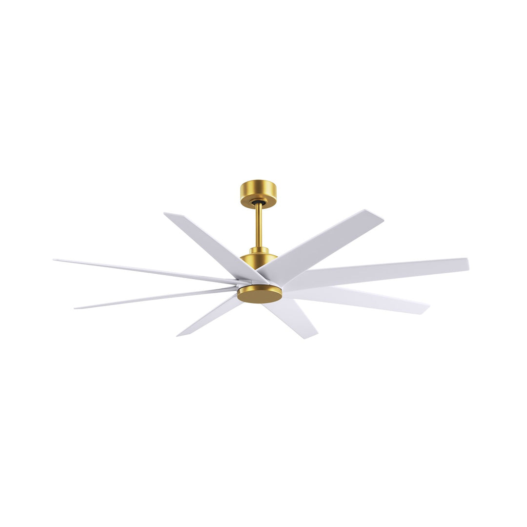 8-Blade Ceiling Fan In Brushed Brass And Matte White Blades by Matthews Fan Company