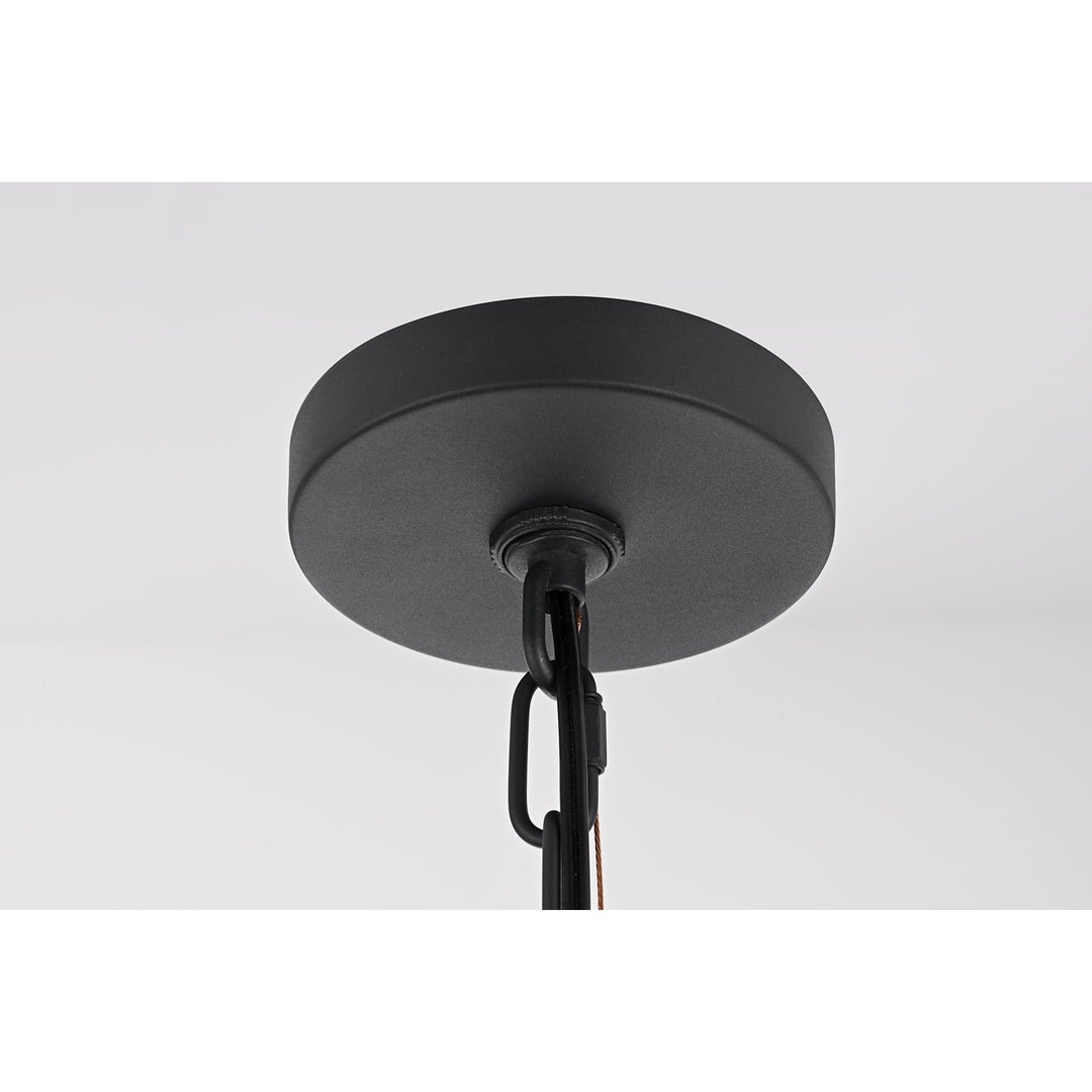 8 X 15 Inch Outdoor Pendant In Black