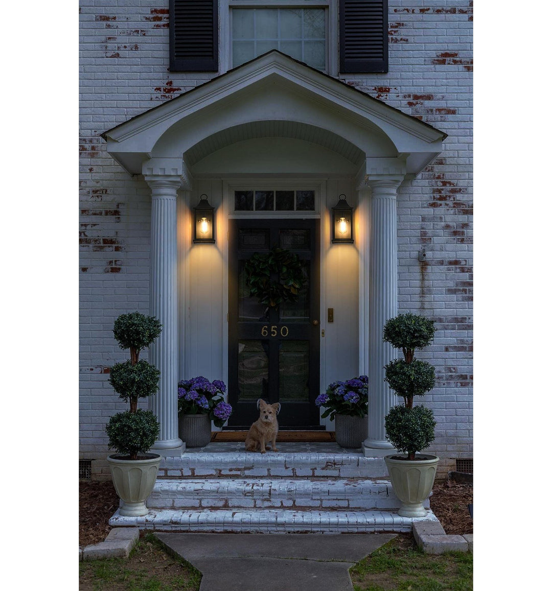 6 Inch Outdoor Wall Sconce In Black