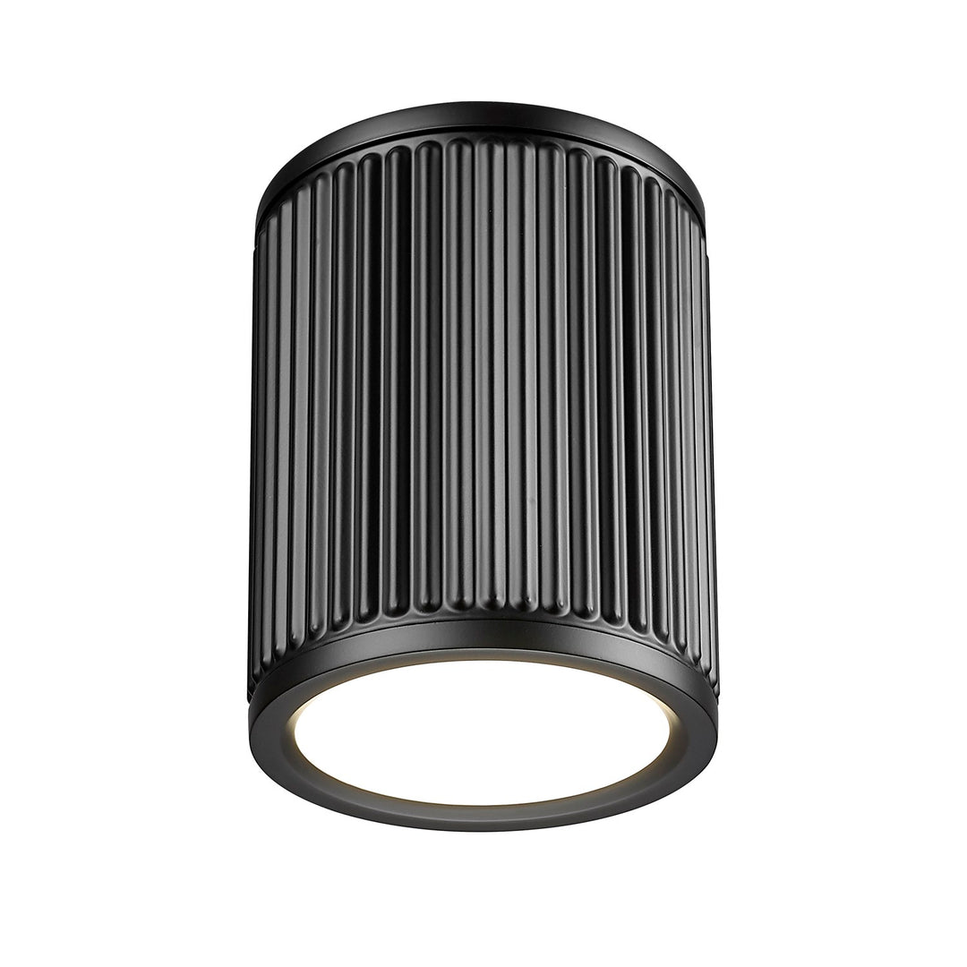 1 Light Flush Mount