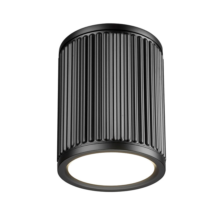 1 Light Flush Mount