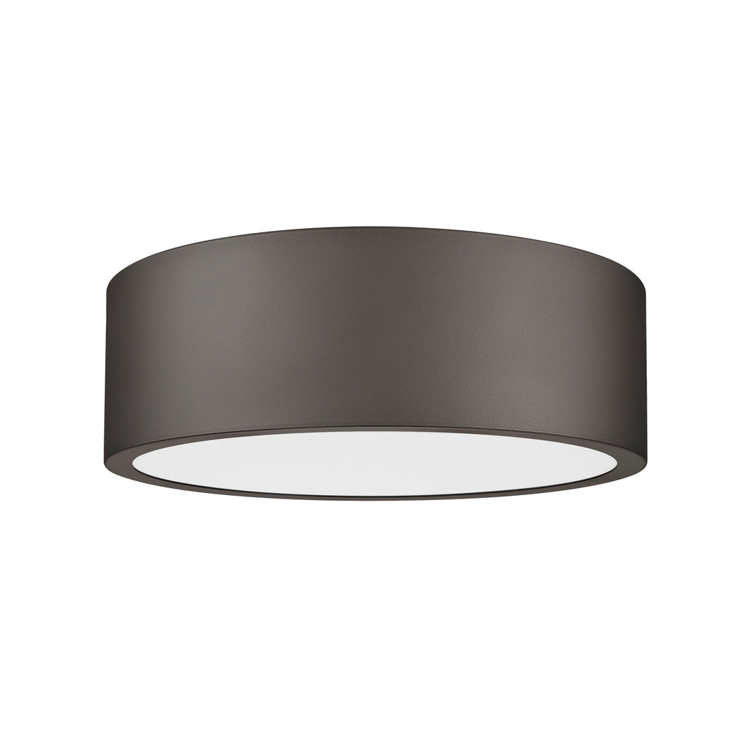 1 Light Flush Mount
