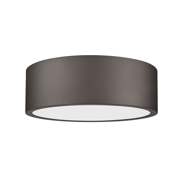 1 Light Flush Mount
