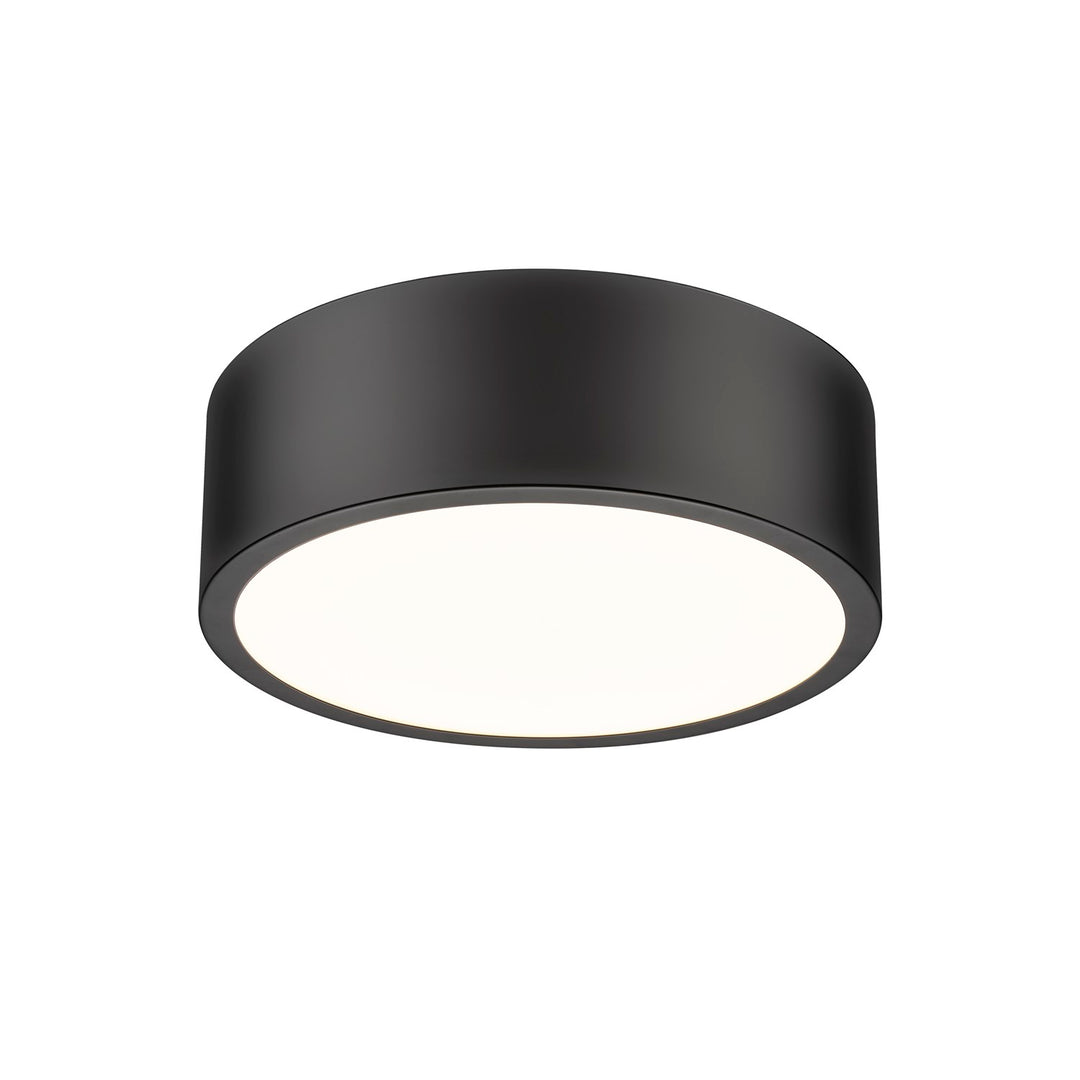 1 Light Flush Mount