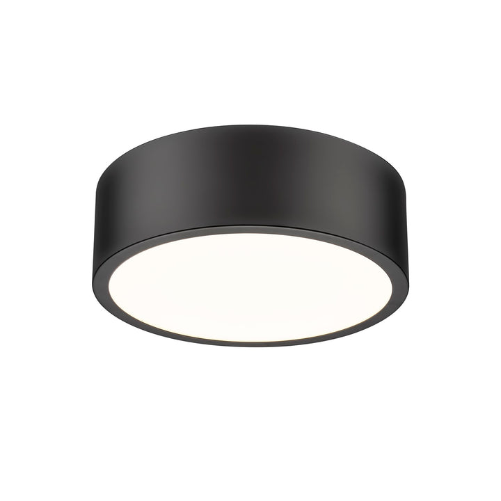 1 Light Flush Mount