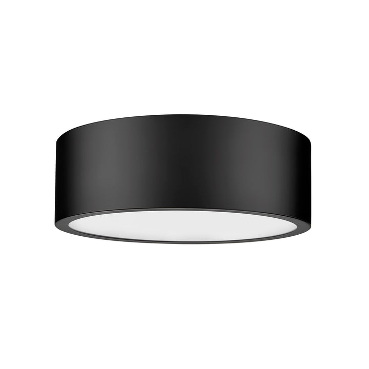 1 Light Flush Mount