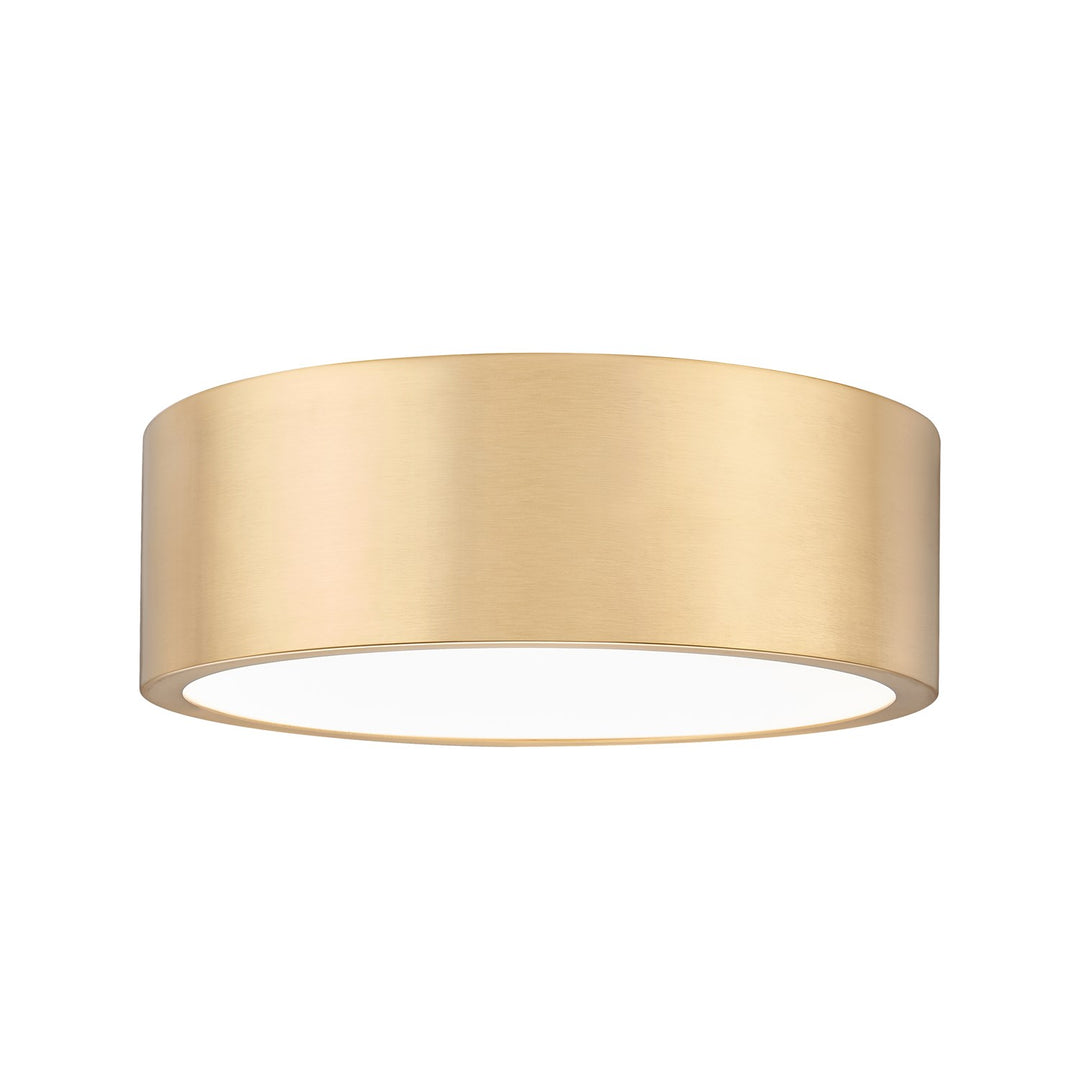 1 Light Flush Mount by Z-Lite