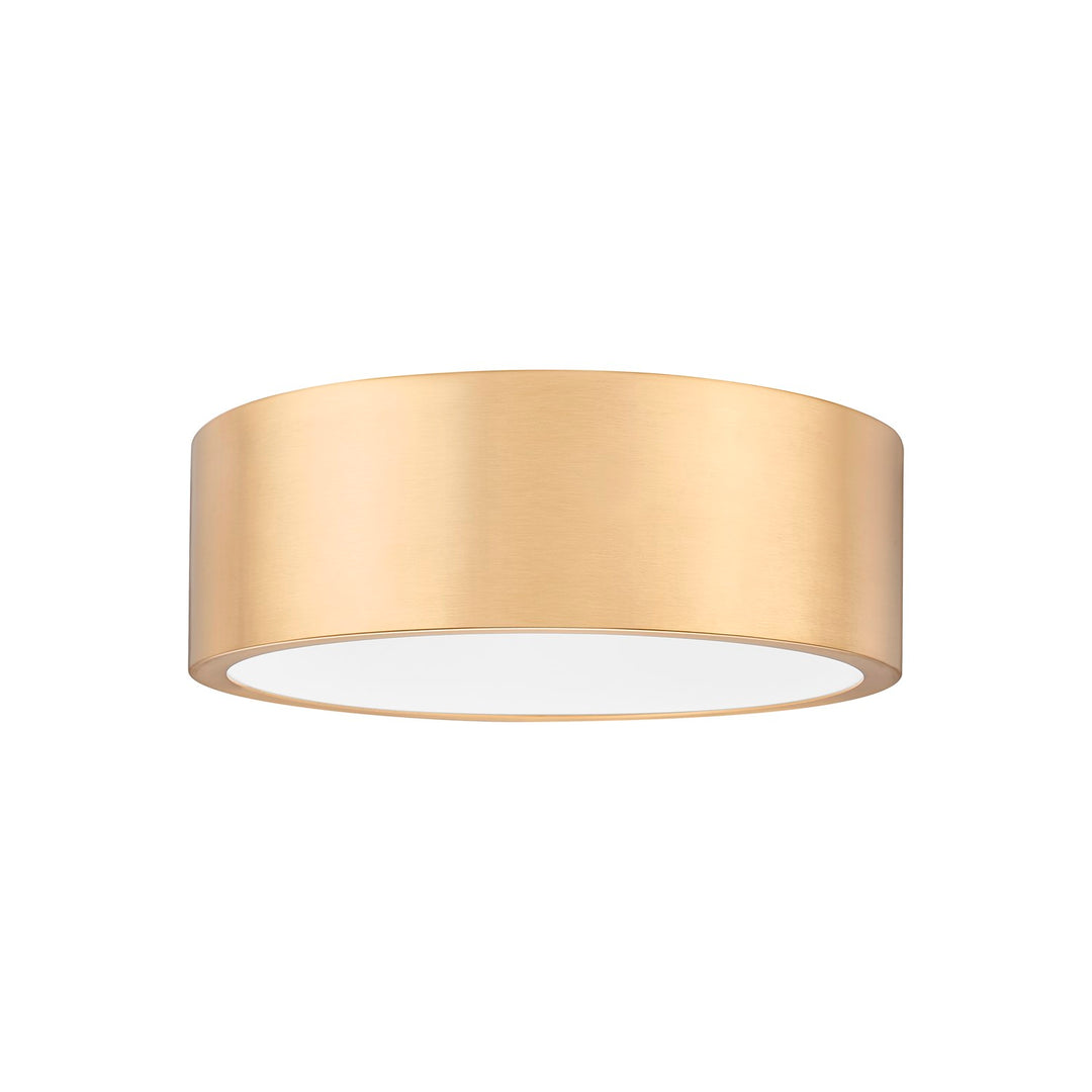 1 Light Flush Mount