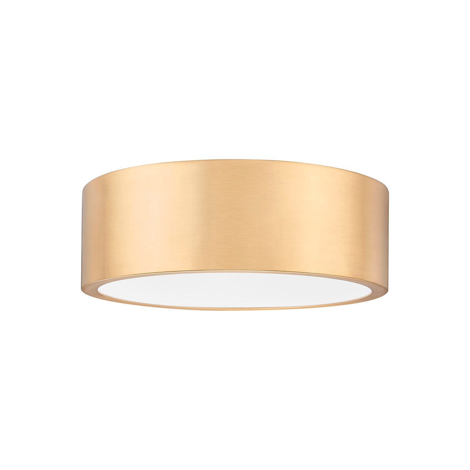 1 Light Flush Mount