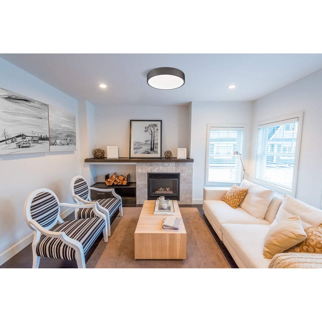 1 Light Flush Mount