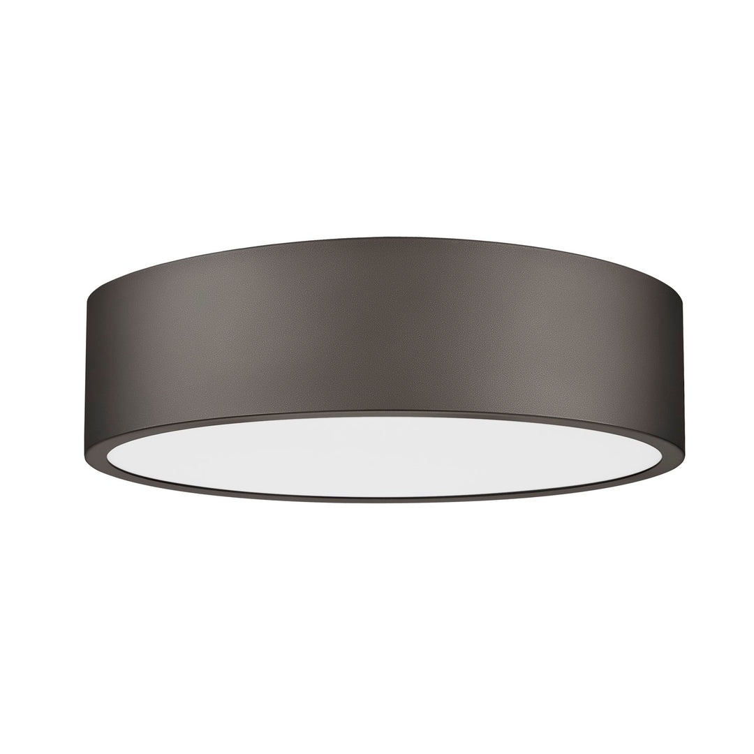 1 Light Flush Mount