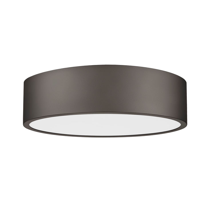 1 Light Flush Mount