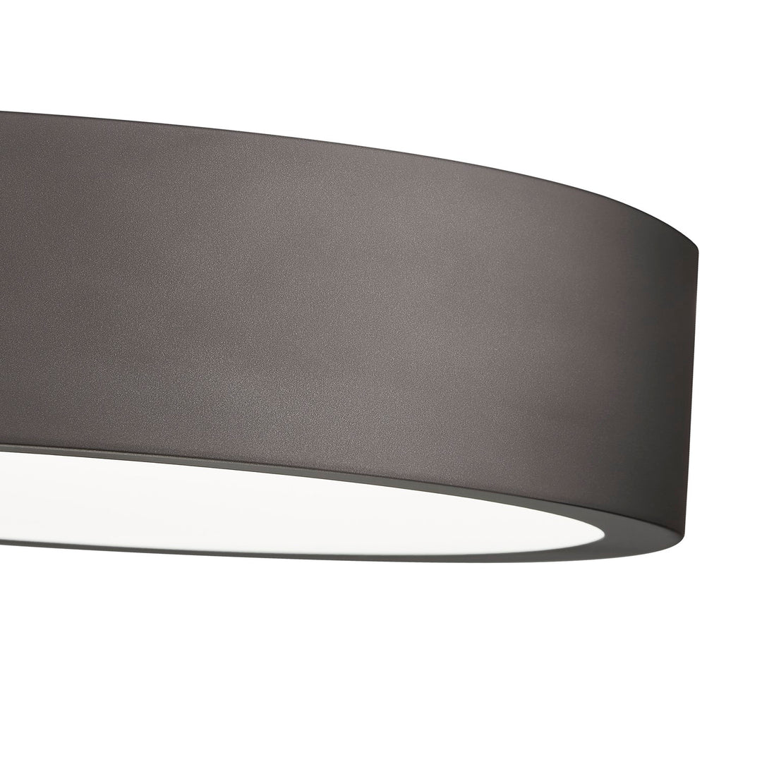 1 Light Flush Mount