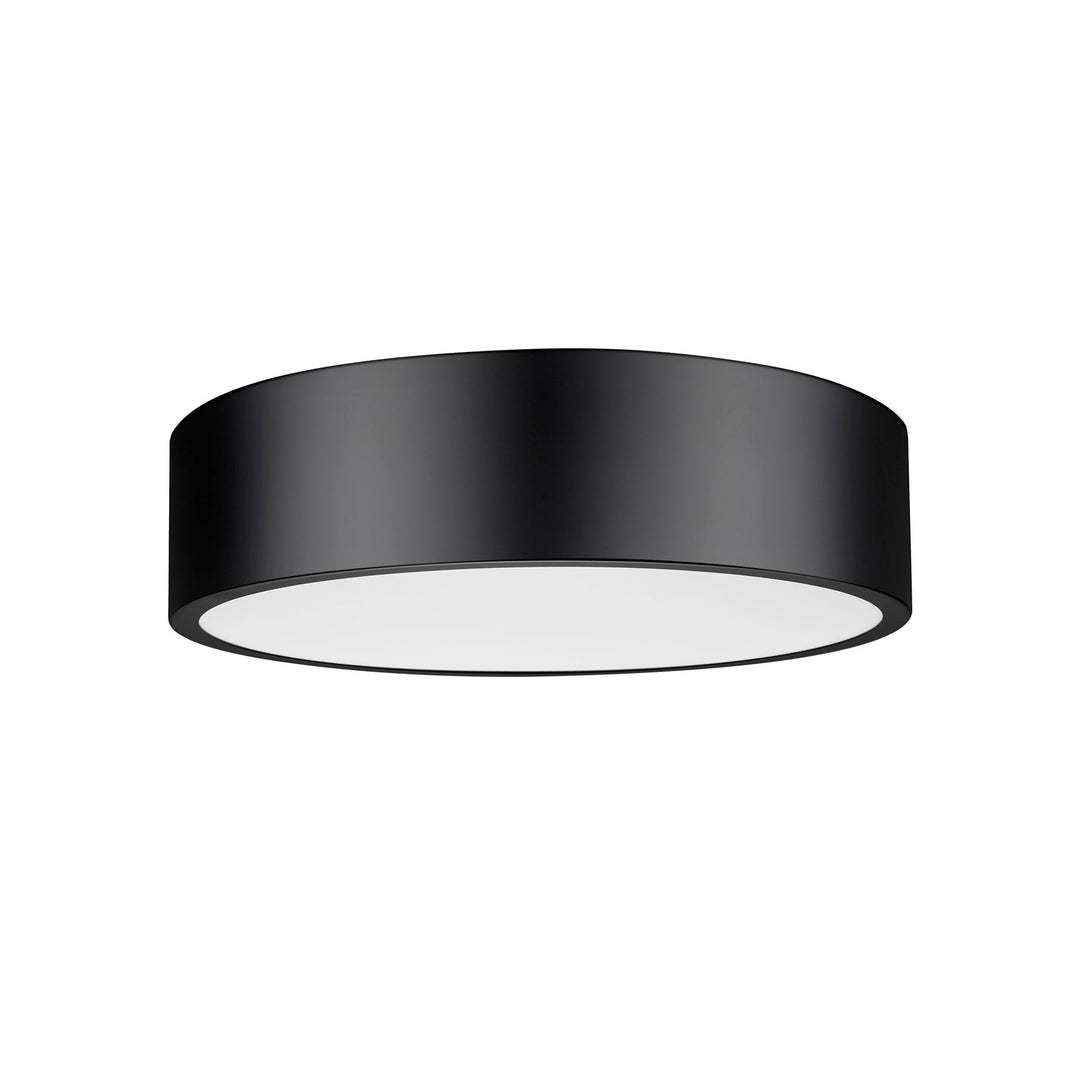 1 Light Flush Mount