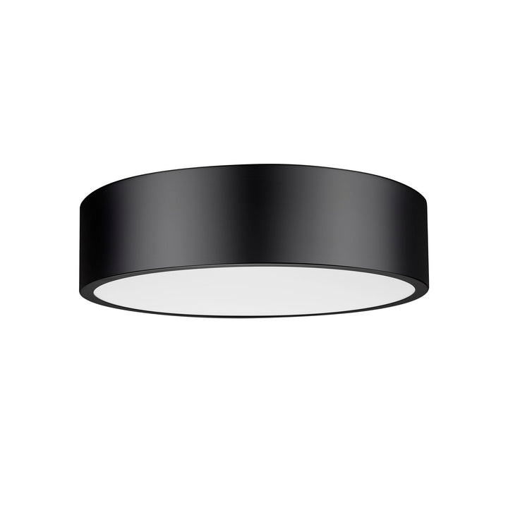 1 Light Flush Mount