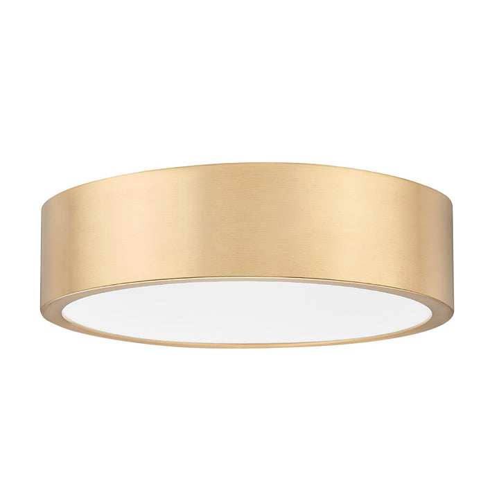 1 Light Flush Mount by Z-Lite