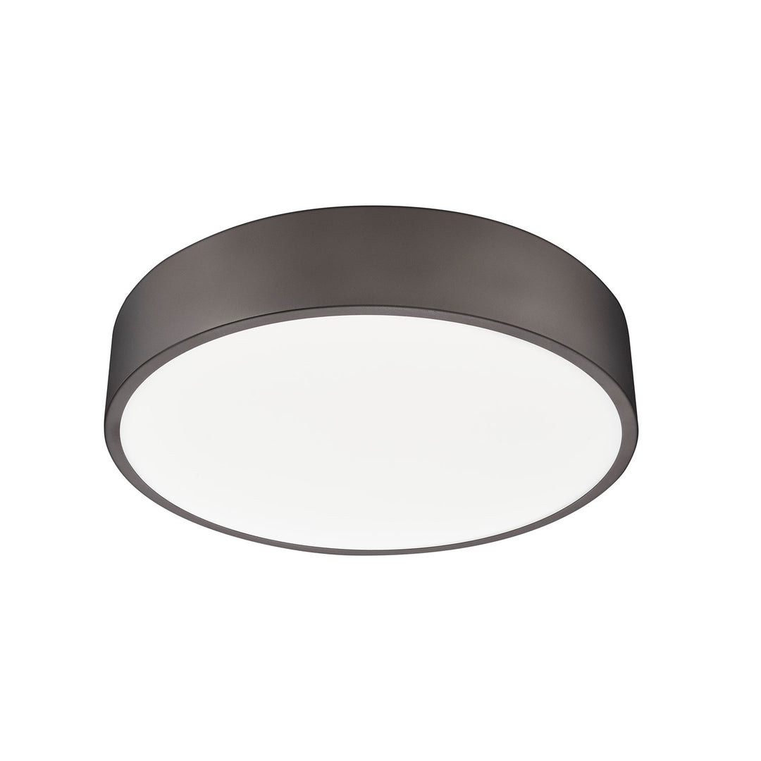 1 Light Flush Mount