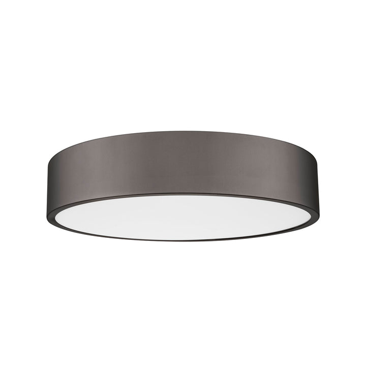 1 Light Flush Mount