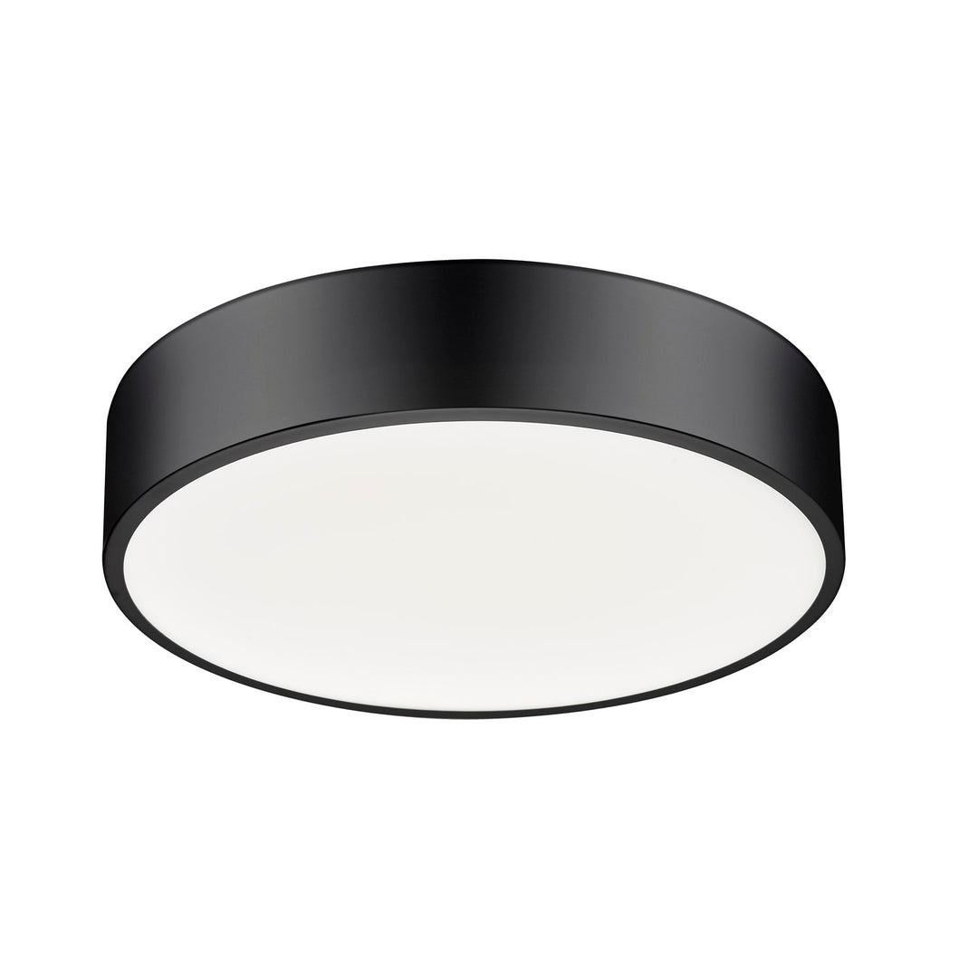 1 Light Flush Mount