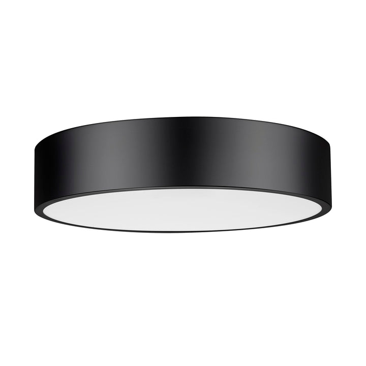 1 Light Flush Mount