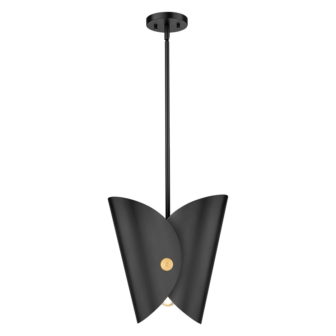1 Light Pendant
