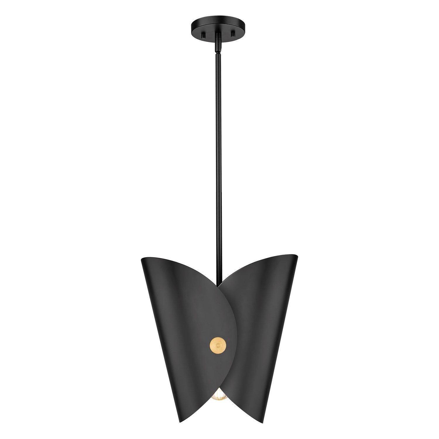 1 Light Pendant