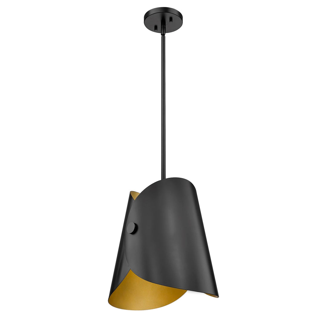 1 Light Pendant