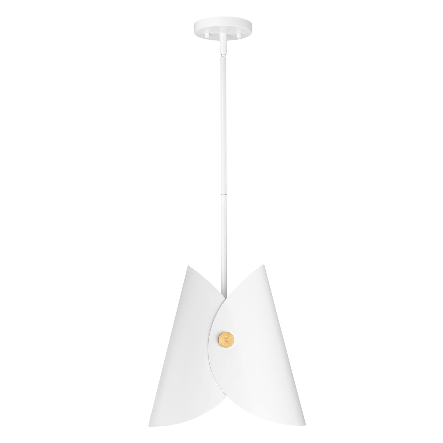 1 Light Pendant