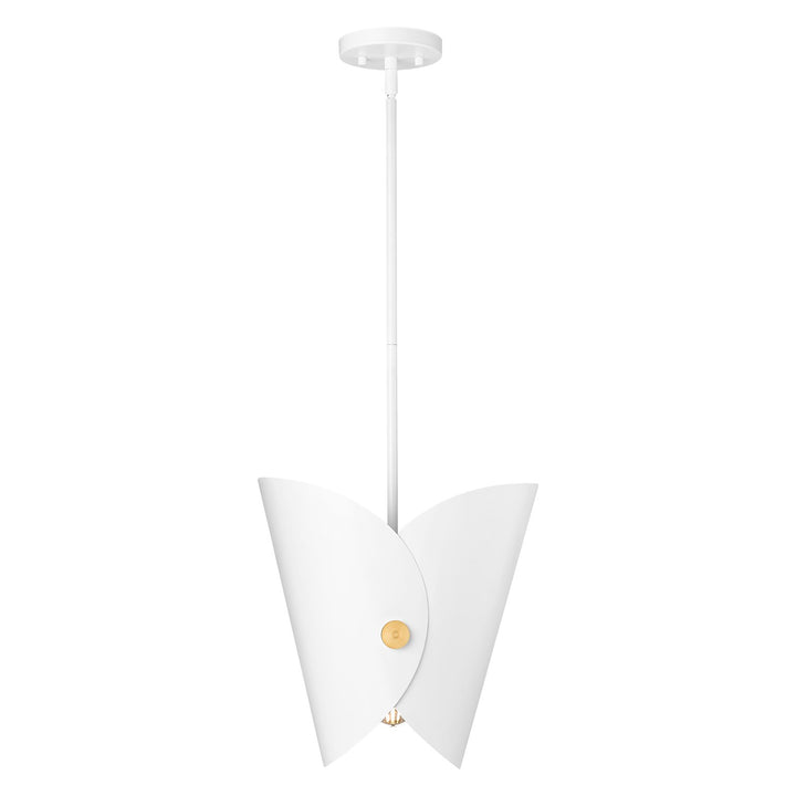 1 Light Pendant