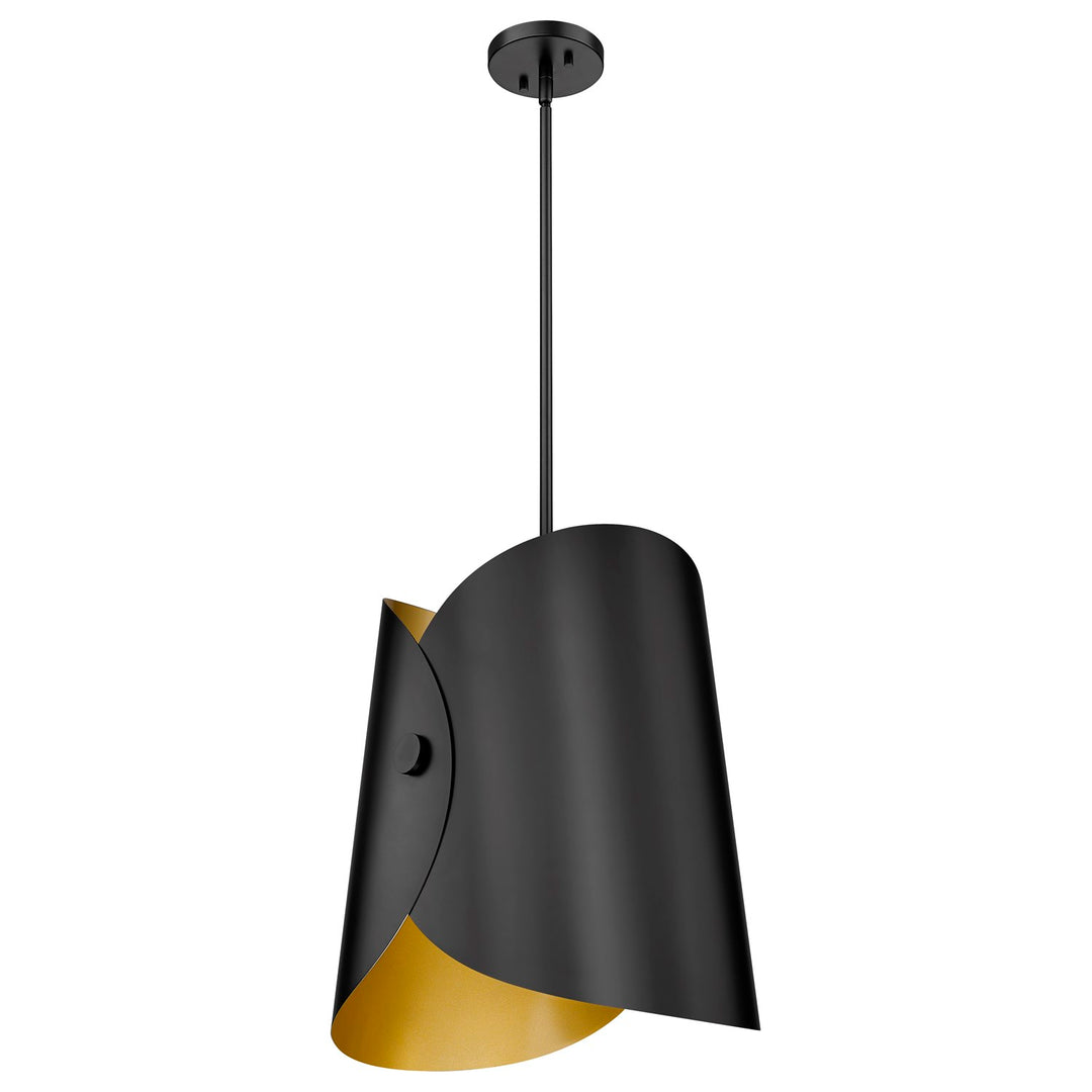 1 Light Pendant